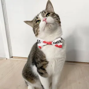 European Shorthair Cat Sitting In Sunny Spot Wallpaper