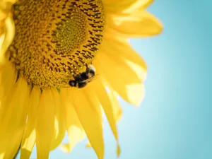 Evening In San Francisco Wallpaper