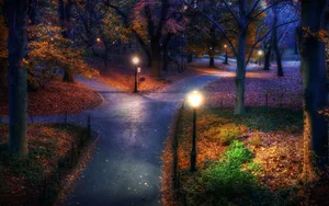 Evening Street Park Lights Wallpaper