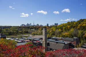 Evergreen Brick Works Autumn View Wallpaper