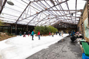 Evergreen Brick Works Ice Skating Rink Wallpaper