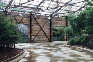 Evergreen Brick Works Industrial Greenhouse Wallpaper