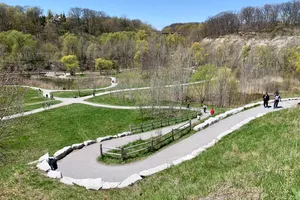 Evergreen Brick Works Park Pathways Wallpaper