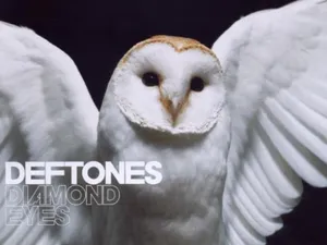 Everyone Can Be A Fan Of Deftones Wallpaper
