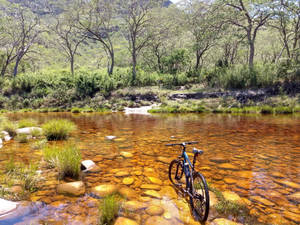 Evoke Mountain Bike At River Wallpaper