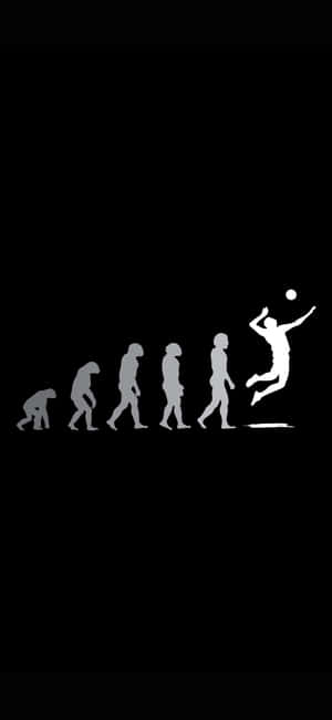 Evolution Of Man To Volleyball Player Wallpaper