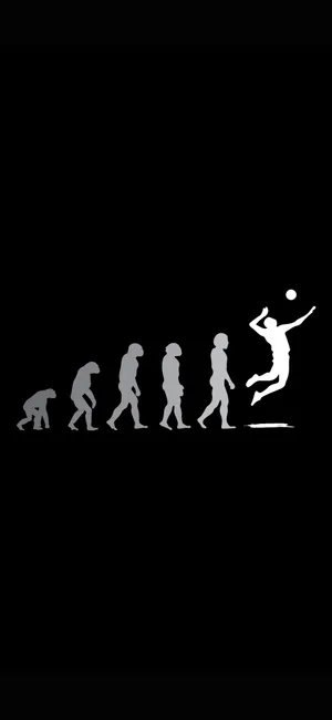 Evolution Of Man To Volleyball Player Wallpaper