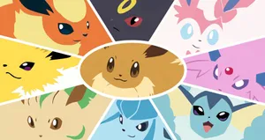 Evolution Of The Popular Pokemon Eevee Wallpaper
