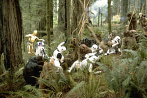 Ewok_ Ambush_in_ Forest.jpg Wallpaper