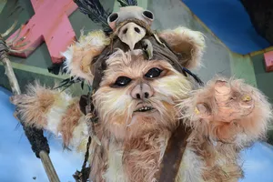 Ewok Costume Closeup Wallpaper