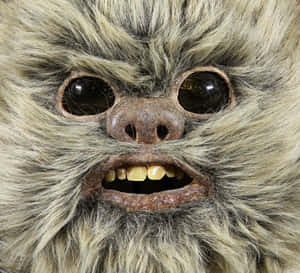 Ewok Village In The Forest Moon Of Endor Wallpaper