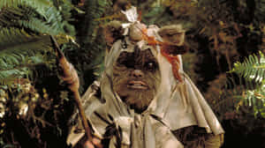 Ewok_ Warrior_ Forest_ Scene Wallpaper