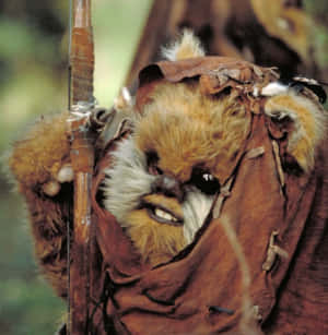 Ewok Warriorwith Bow Wallpaper