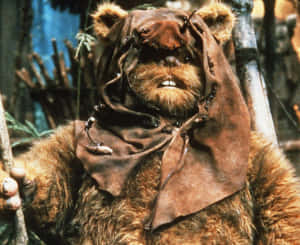 Ewokin Hood Closeup Star Wars Wallpaper