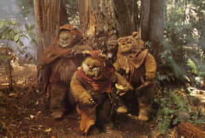 Ewoksin Forest Endor Wallpaper