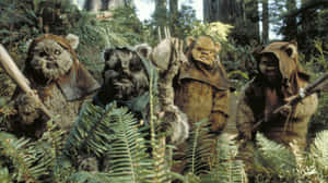 Ewoksin Forest Scene Wallpaper