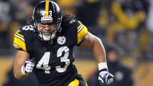 Ex-pittsburgh Steelers Star Troy Polamalu On The Field At Heinz Field. Wallpaper