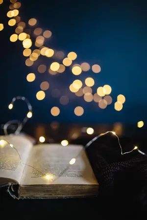 Exact Same Bulbs Of The Fairy Lights Wallpaper