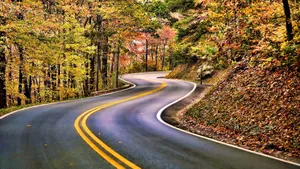 Exceptional Road Scenery Wallpaper