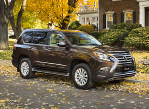 Exceptional Style And Luxury - Lexus Gx 460 Wallpaper