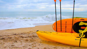 Exciting Beach Water Sports Action Wallpaper