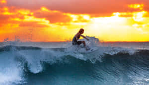 Exciting Beach Water Sports Adventure Wallpaper