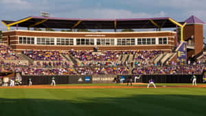 Exciting College Baseball Game Moment Wallpaper