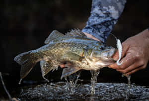 Exciting Day At The Lake With Fishing Bait Wallpaper