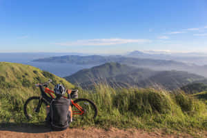 Exciting Hike Through A Scenic Forest Trail Wallpaper