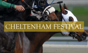 Exciting Horse Race At Cheltenham Festival Wallpaper