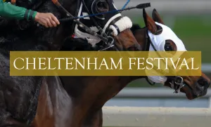 Exciting Horse Race At Cheltenham Festival Wallpaper