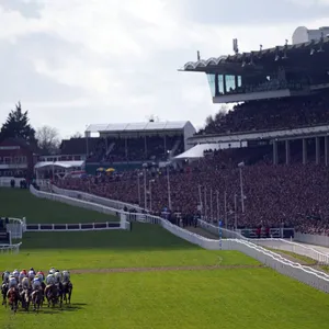 Exciting Horse Racing At The Cheltenham Festival Wallpaper