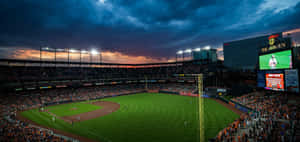 Exciting Mlb Baseball Action Wallpaper