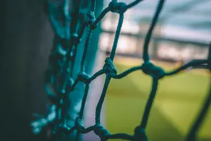 Exciting Moment In Cricket Game Wallpaper