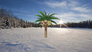 Exeggutor Half-buried In The Snow Wallpaper