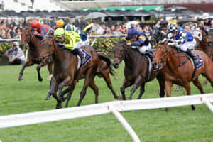 Exhilarating Horseracing At Melbourne Cup Day Wallpaper