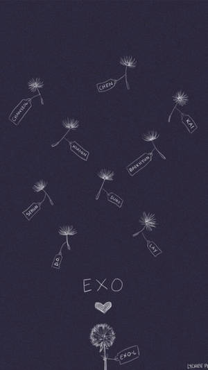 Exo Aesthetic Wallpaper