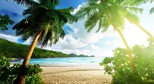 Exotic Sun Shining [wallpaper] Wallpaper