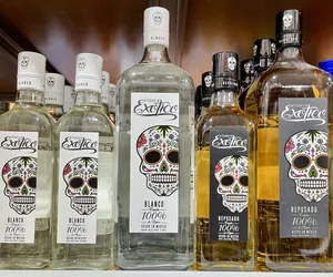 Exotico Tequila Collections Different Sizes Wallpaper