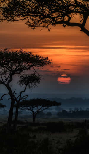 Expand Your Horizons With African Phone Wallpaper