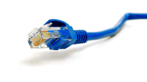 Expand Your Network With Ethernet Wallpaper