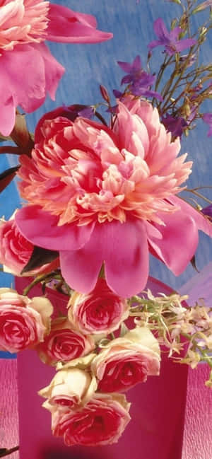 Experience Beauty With This Colorful Flower Iphone Wallpaper Wallpaper