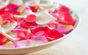 Experience Luxurious Spa Treatments At Our Salon Wallpaper