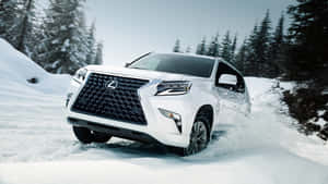 Experience Luxury And Power With The Lexus Gx 460 Wallpaper