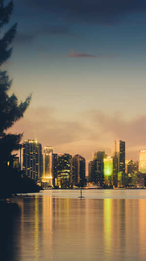 Experience Miami's Enchanted Beauty With This Iphone Wallpaper. Wallpaper