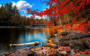 Experience Perfect Fall At Its Best Wallpaper