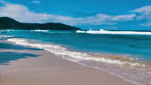 Experience Serene Summer Beach Getaway Wallpaper