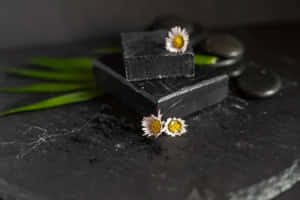 Experience Soothing And Nourishing Natural Skin Relief With Black Soap