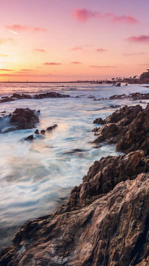 Experience Summertime In California Wallpaper