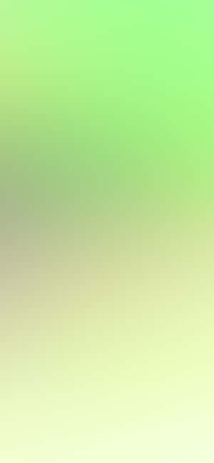 Experience The Amazing Clarity Of Iphone 11 Green Wallpaper